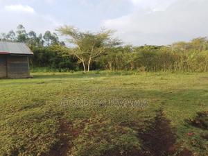 Kanyada Kanyabala 1700 - main view