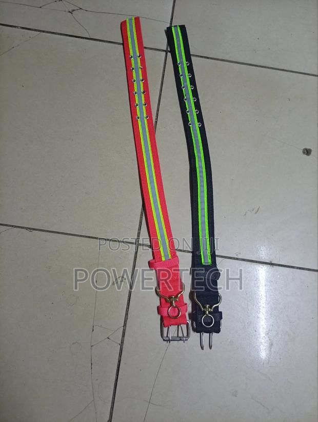 Dog Collar - main view