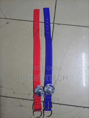 Dog Collar - thumbnail 2