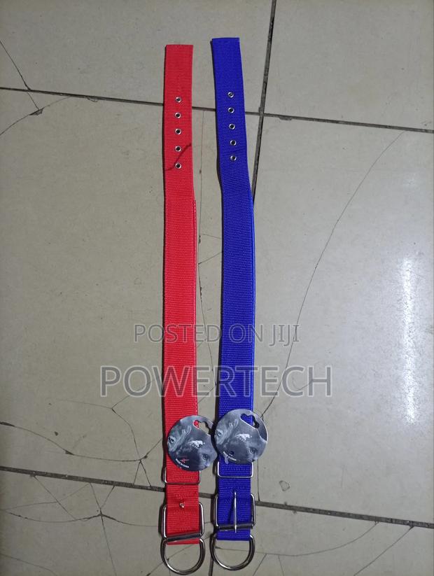 Dog Collar - main view