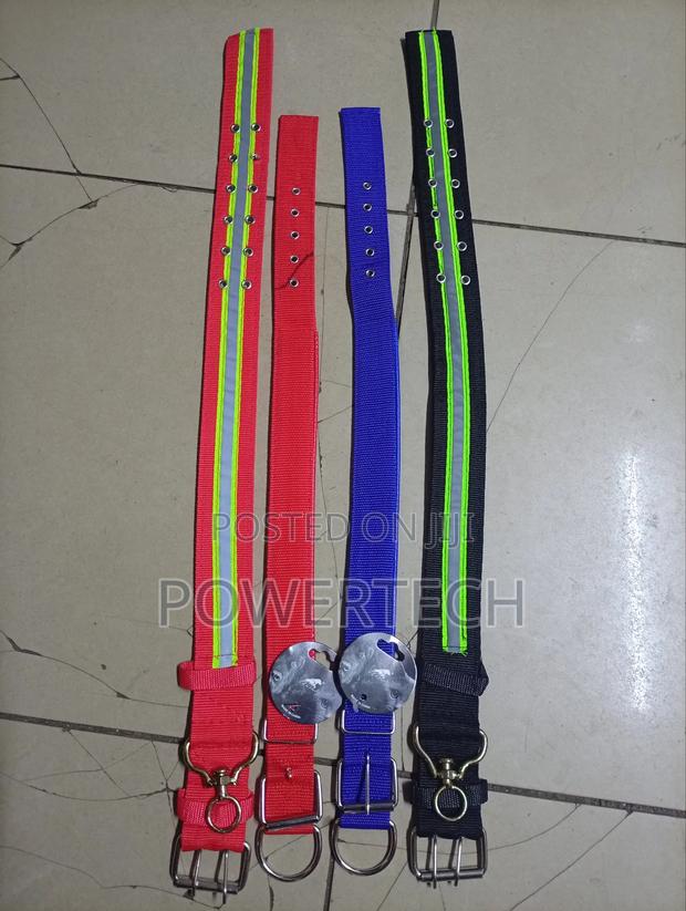 Dog Collar - thumbnail 3