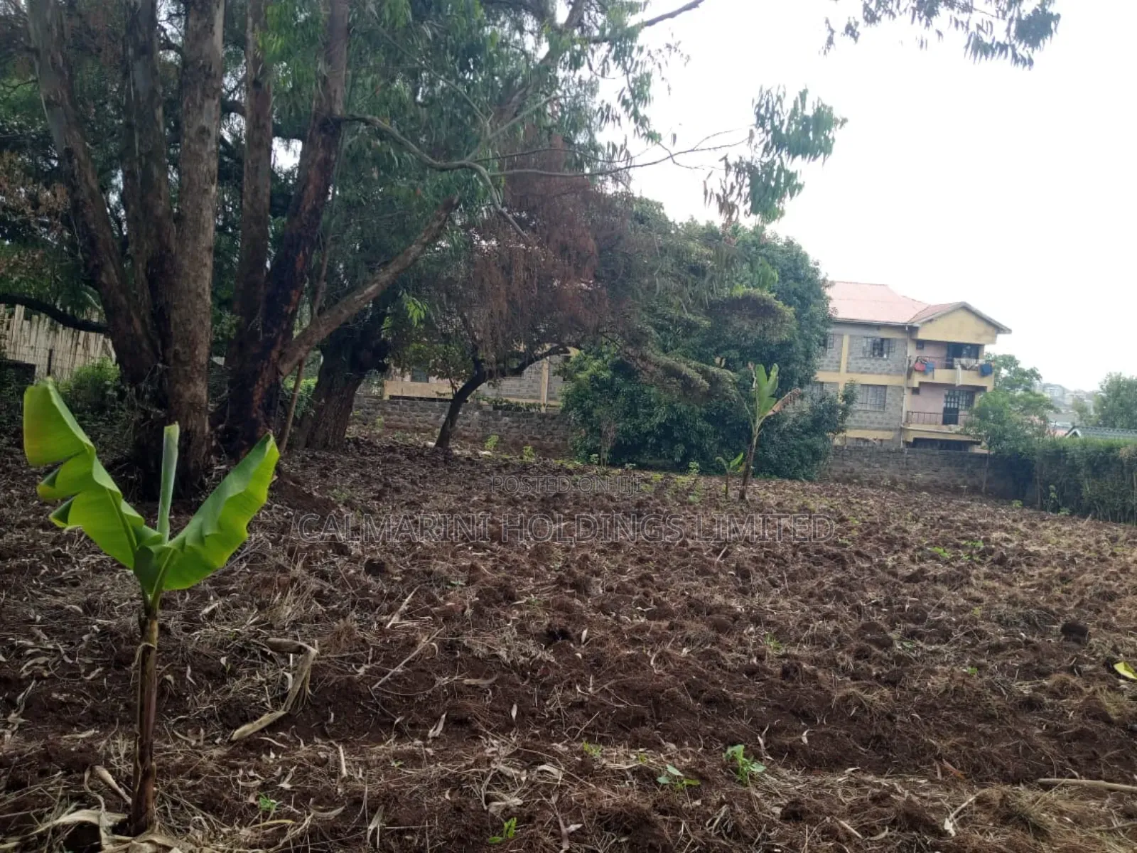Prime Freehold Commercial 1/2 Acre in Ngong Town