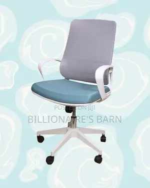 Home Office Mesh Backrest Ergonomic — | Top Seller in Kenya