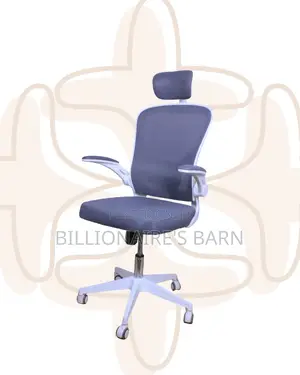 Ergonomic Quiet-Roll Chair for Office Back | Nairobi Delivery
