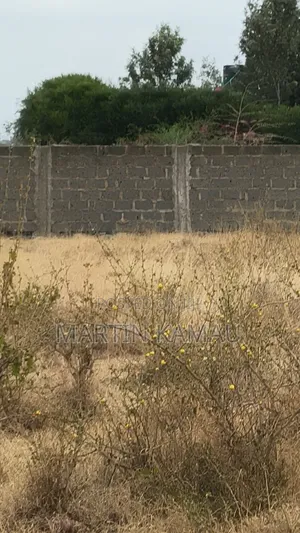 Huryy Up Few Plots50x100 at Mwalimu Farm Kamulu With Ready Title