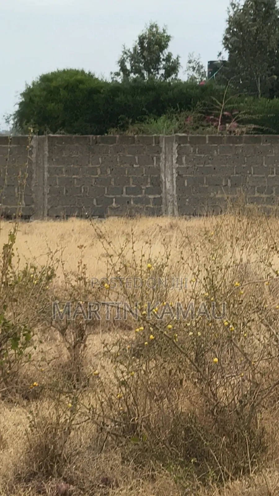Huryy Up Few Plots50x100 at Mwalimu Farm Kamulu With Ready Title