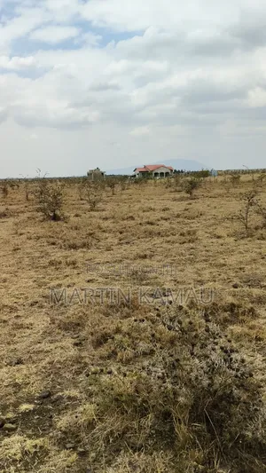 Huryy Up Few Plots50x100 at Mwalimu Farm Kamulu With Ready Title