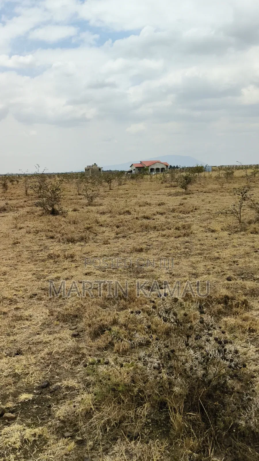 Huryy Up Few Plots50x100 at Mwalimu Farm Kamulu With Ready Title