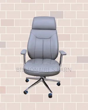 Stylish Lumbar Grey Chair Executive | Same-Day Delivery Available