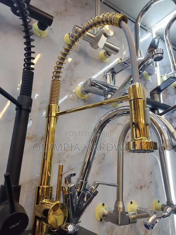 Lirlee Gold Pull Out Kitchen Mixer