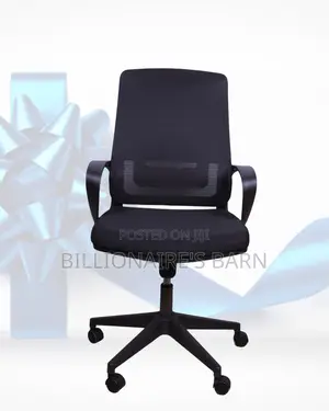 Space-Saving Office Support Mesh Lumbar | Delivery Anywhere in Kenya