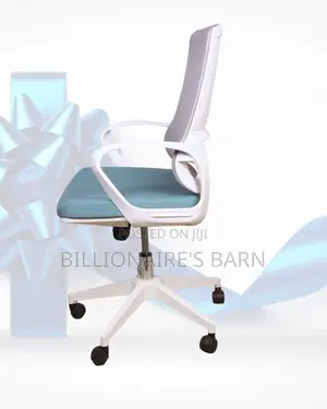 Modern Ergonomic Office Adjustable Chair | Same-Day Delivery Available