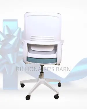 Modern Ergonomic Office Adjustable Chair | Same-Day Delivery Available