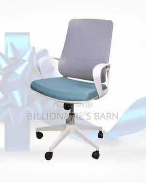 Modern Ergonomic Office Adjustable Chair | Same-Day Delivery Available