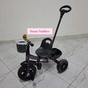 Ultimate Push Handle Tricycle (1-4yrs )