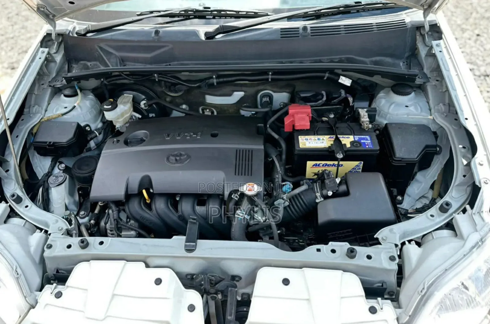 Toyota Succeed 2019 White
