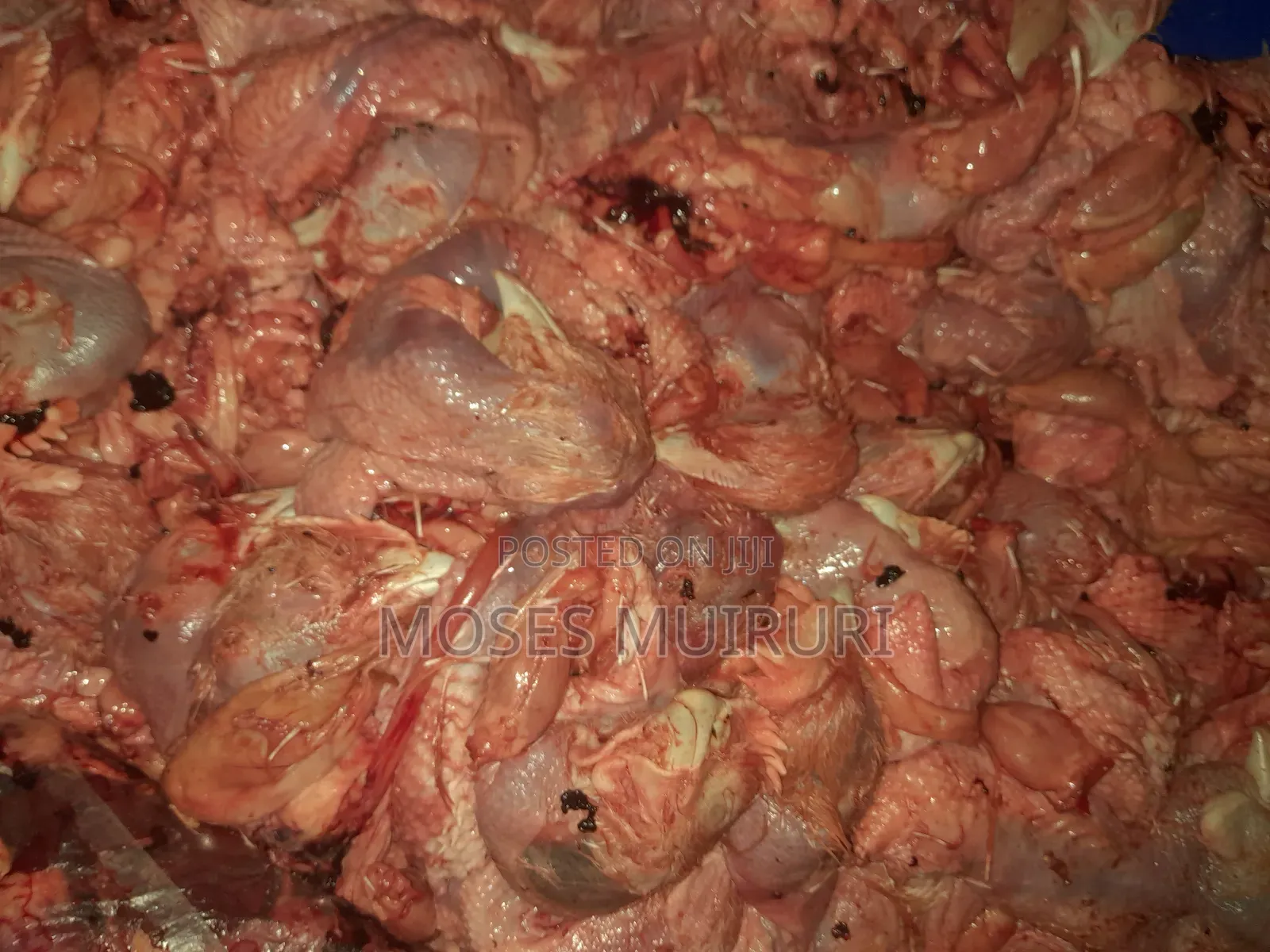 Livers,Feets,Neck and Head for Sale at an Affordable Price.