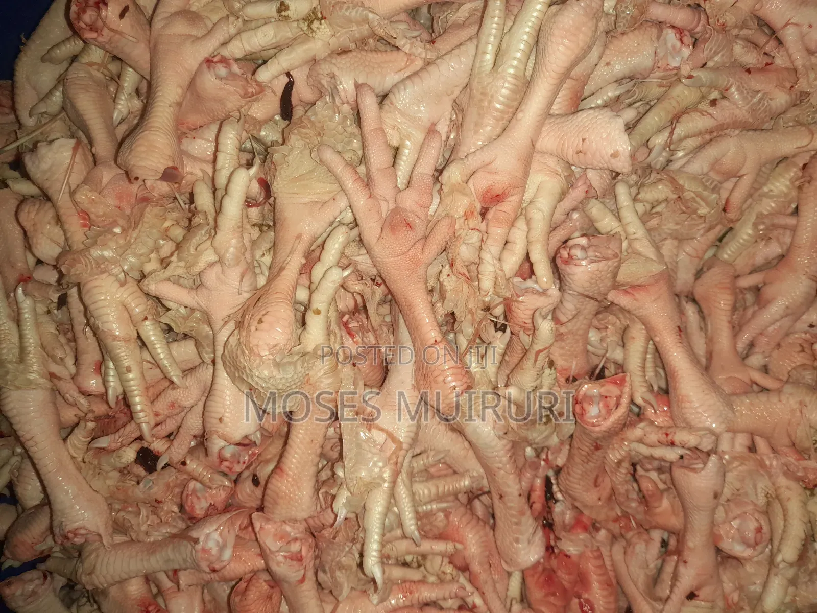 Livers,Feets,Neck and Head for Sale at an Affordable Price.