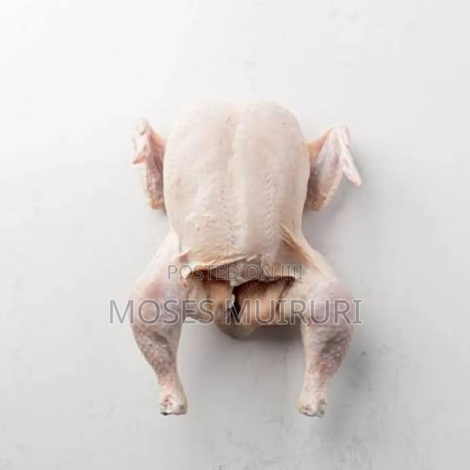 Chicken,Thighs,Wings,Drumsticks, Backs and All Chicken Food Available.