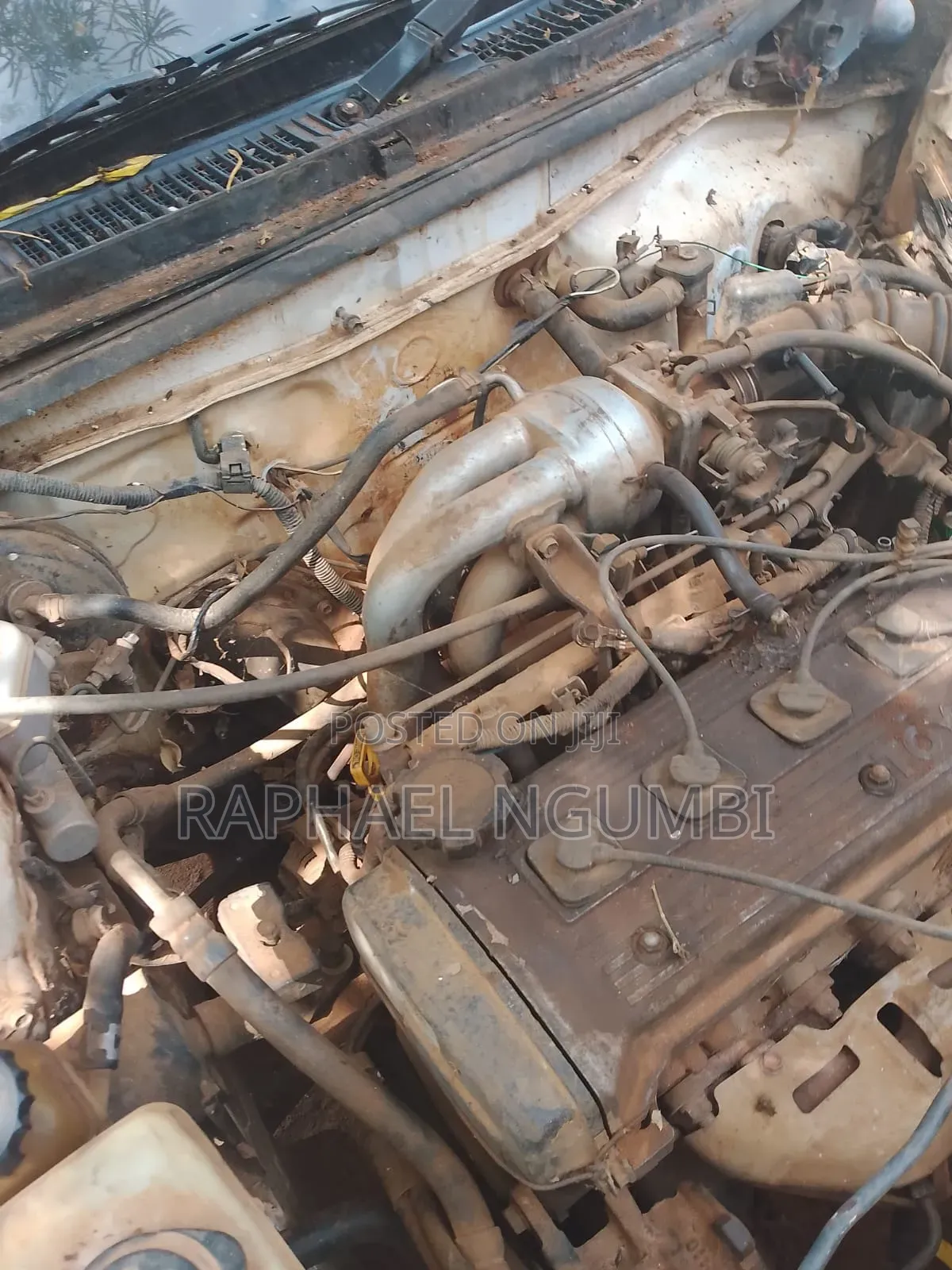 Toyota Corolla 2002 White