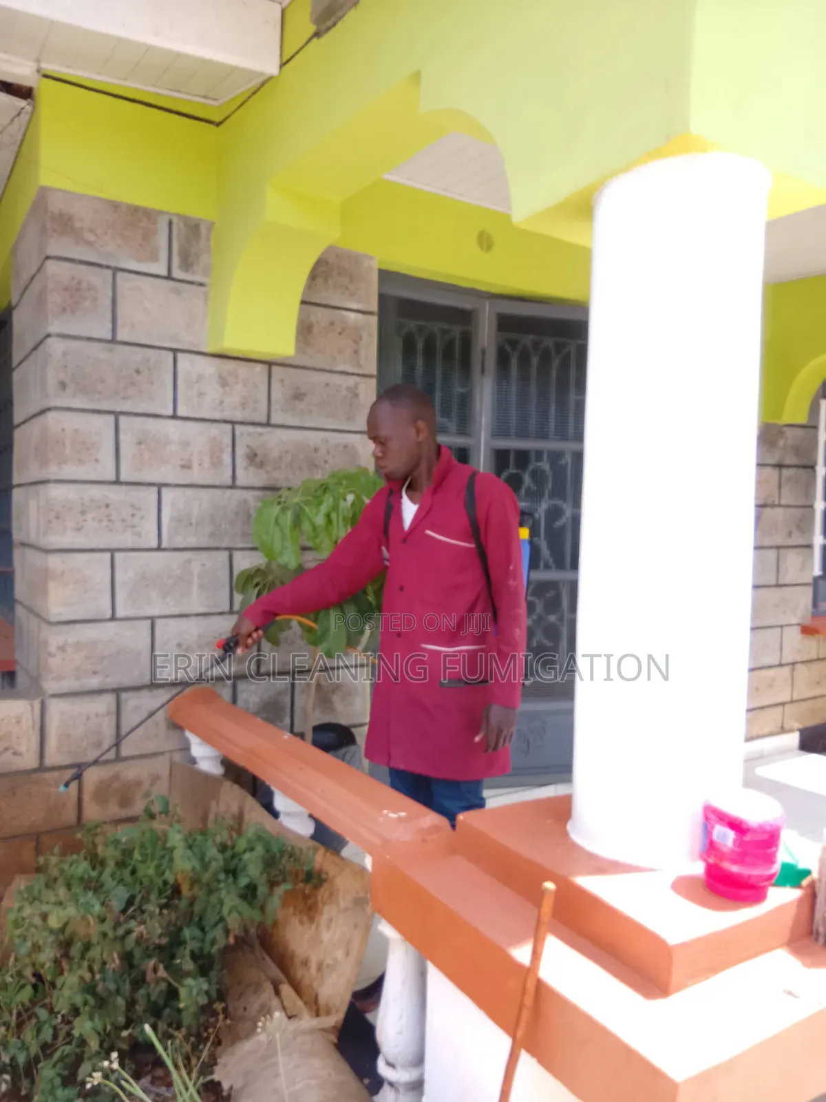 Fumigation Pest in Cleaning Services