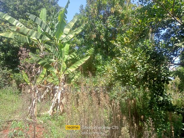 1/8acre Thunguma Nyeri Town. - thumbnail 2