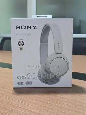 Sony Wh-ch520