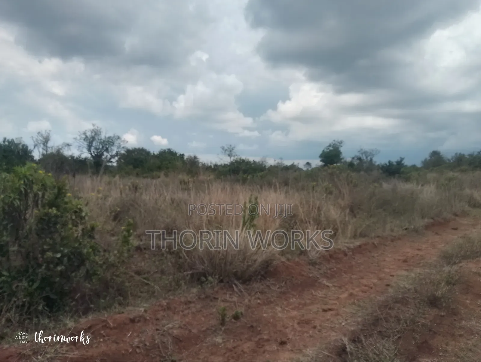 1⁄2 Acre Land on Sale
