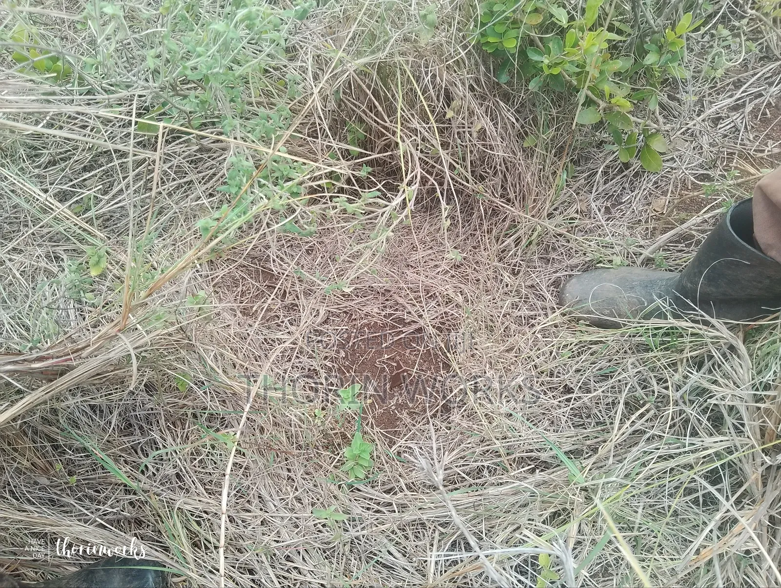 1⁄2 Acre Land on Sale