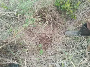 1⁄2 Acre Land on Sale