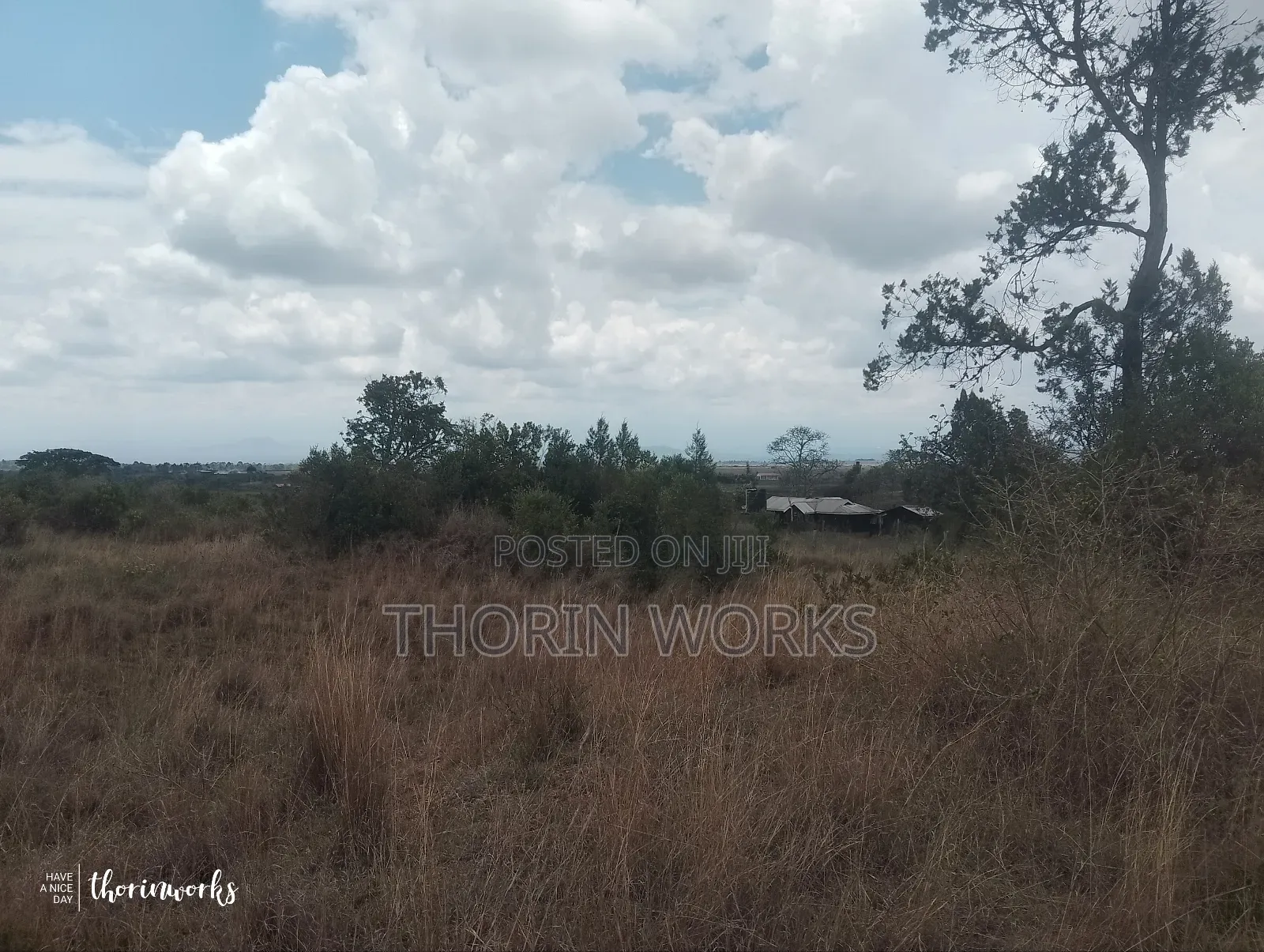 1⁄2 Acre Land on Sale