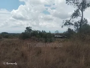 1⁄2 Acre Land on Sale