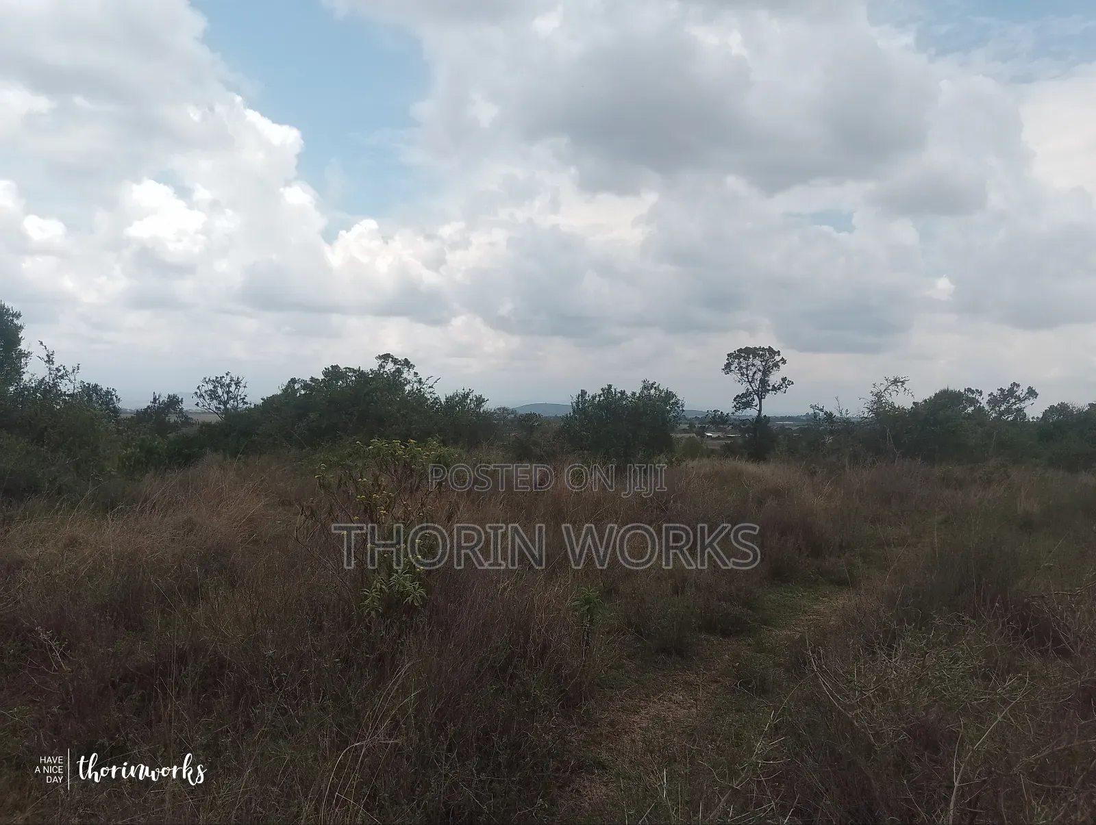 1⁄2 Acre Land on Sale