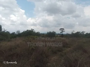 1⁄2 Acre Land on Sale