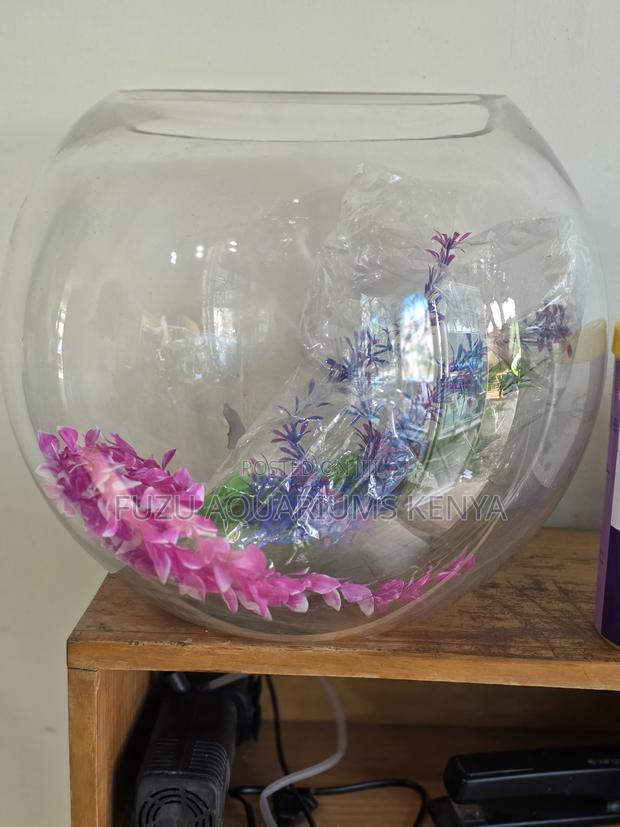 Crystal Clear 12l Big Fish Bowl for Home or Office