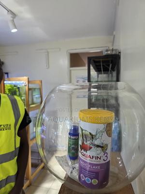 Ready-to-Use 12l Fish Bowl – Ideal Starter Setup - thumbnail 2