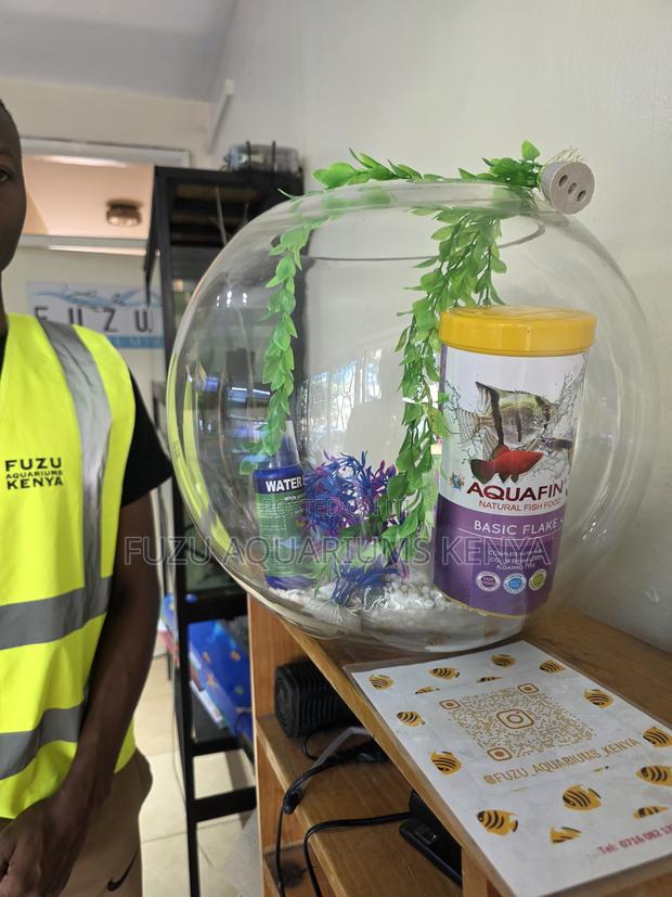 Large Fish Bowl Starter Kit – Plug Play - main view