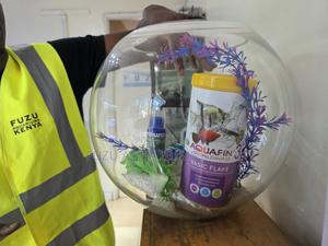 Decorative Fish Bowl With Plants Fish Included - thumbnail 2