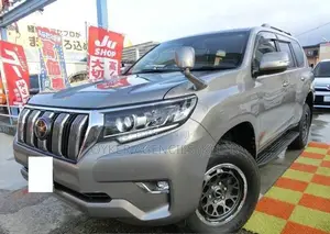 Toyota Land Cruiser Prado 2.8 2020 Gray