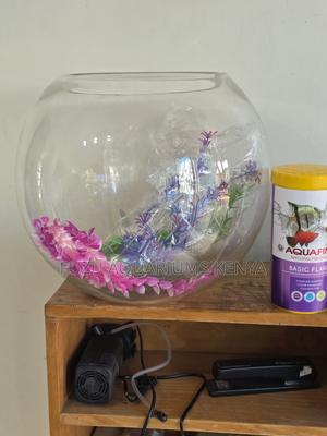 Ready Fish Bowl With 4 Fish Natural Decor - thumbnail 2