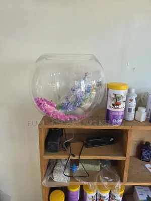 12l Glass Bowl – Fish, Gravel, Plants Flakes