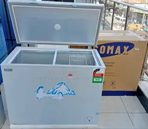Ecomax 219 L Deepfreezer