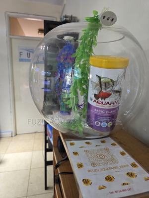 Cute Home Fish Bowl With 4 Fish + Accessories - thumbnail 2