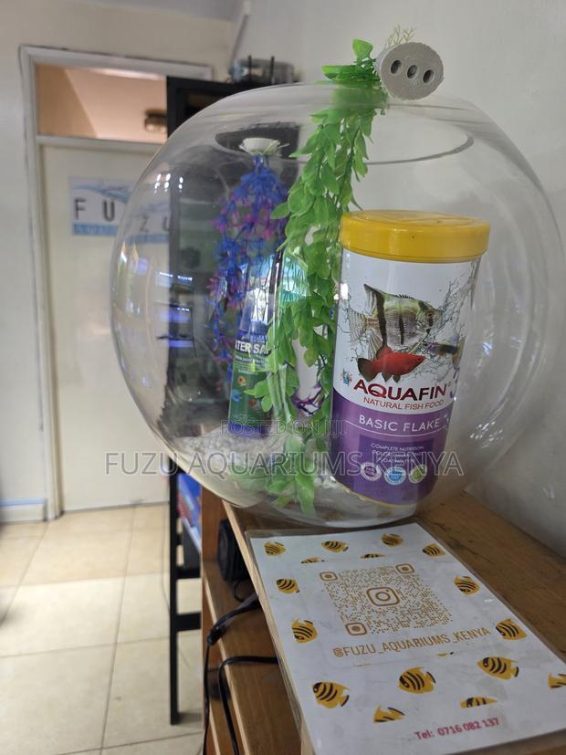 Cute Home Fish Bowl With 4 Fish + Accessories - main view