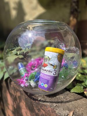 Modern 12l Fish Bowl – Perfect for Home or Office - thumbnail 2