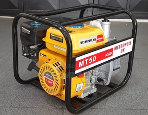 Metropolis Petrol Water Pump 2"