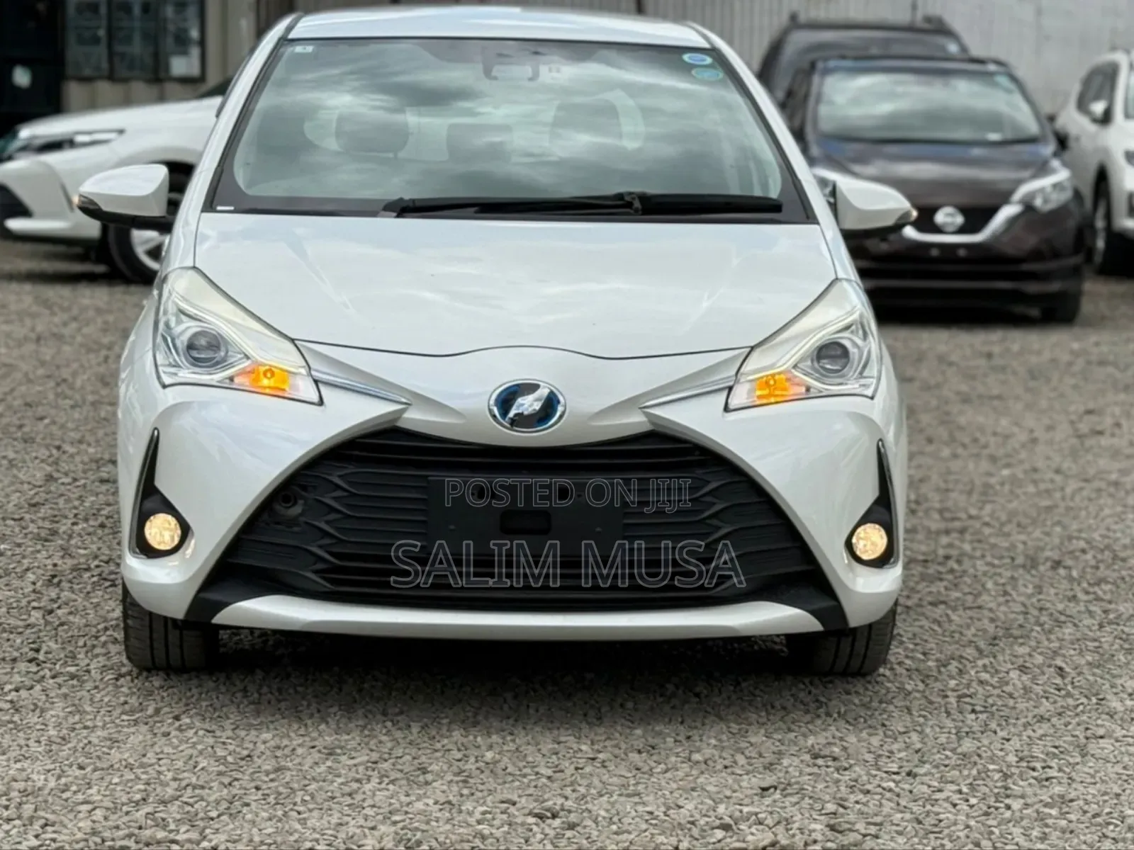 Toyota Vitz 2019 White