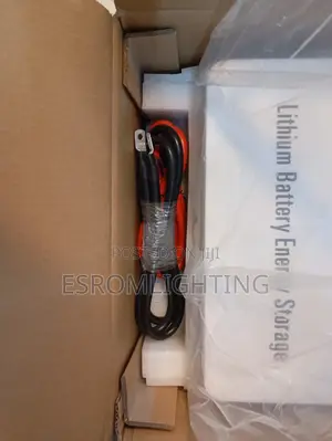 Srne 2.56kwh Lithium Battery (24v 100ah)