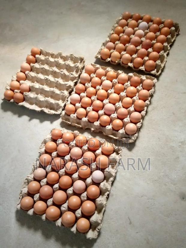 Mayai Fresh From The Farm - main view