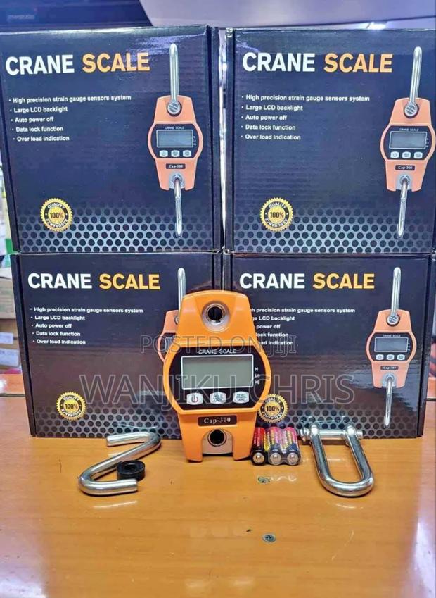 300kgs Mini Crane Scale/Crane Scale 300kgs - main view